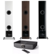Dali Rubicon 6C+DALI SOUND HUB+BLUOS MODULE